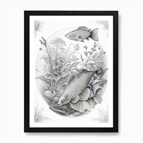 Sanke Koi Fish Haeckel Style Illustastration Art Print