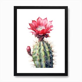 Cylindropuntia Kleiniae Cactus Watercolour Drawing 1 Art Print