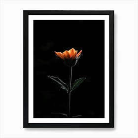 Single Flower In The Dark 7 Art Print