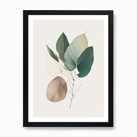 Eucalyptus Leaf Contemporary 2 Art Print
