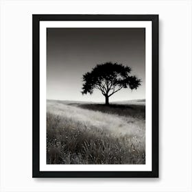 Lone Tree In The Field 2 Art Print