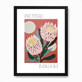 Proteas In Bloom Flowers Bold Illustration 3 Art Print