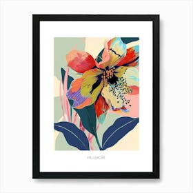 Colourful Flower Illustration Poster Hellebore 3 Art Print