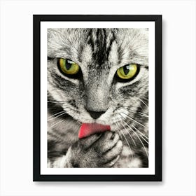 A cute cat Art Print