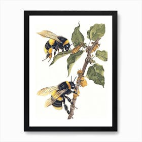 Leafcutter Bee Storybook Illustration 20 Art Print