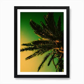 Palm Tree Print 'Croatia' Art Print