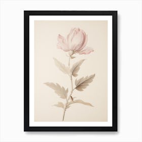 Neutral Pink Vintage Flower Art Print