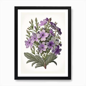 Phlox Floral 1 Botanical Vintage Poster Flower Art Print