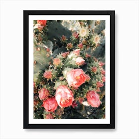 Pink Cactus Flower Art Print