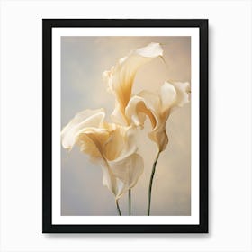 Boho Dried Flowers Calla Lily 4 Art Print