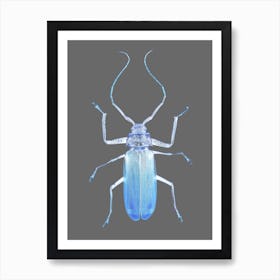 Insect Evolution Art Print