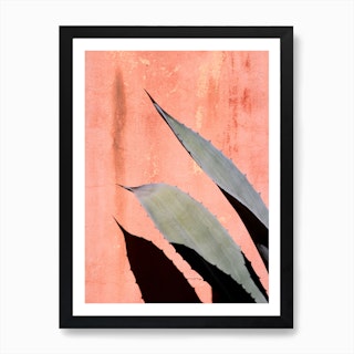 Peach Cactus In Art Print