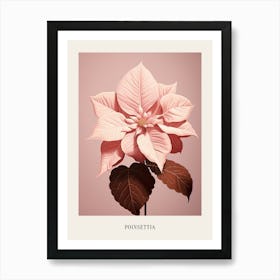 Floral Illustration Poinsettia 2 Poster Art Print