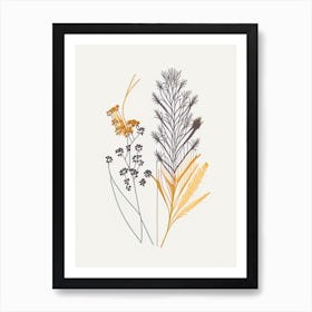 Caraway Spices And Herbs Minimal Line Drawing 1 Art Print