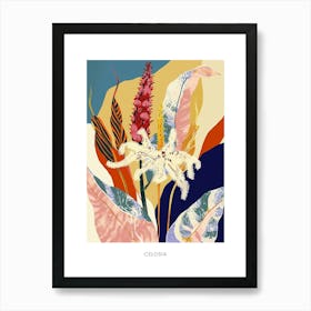 Colourful Flower Illustration Poster Celosia 3 Art Print