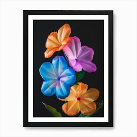 Bright Inflatable Flowers Phlox 1 Art Print