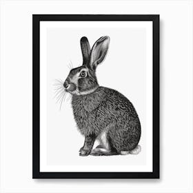 Belgian Hare Blockprint Illustration 2 Art Print