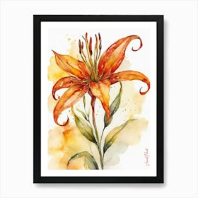 Orange Flame Lily Flower Art Print