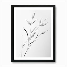 Black And White Drawing Of A Plant Art Print