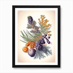 Juniper Berries Spices And Herbs Retro Drawing 2 Art Print