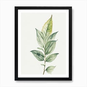 Pineapple Sage Leaf Minimalist Watercolour Art Print