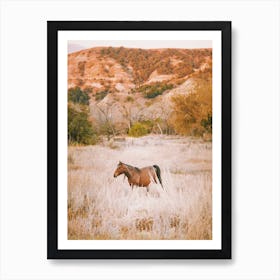 Horse In Desert Meadow Art Print