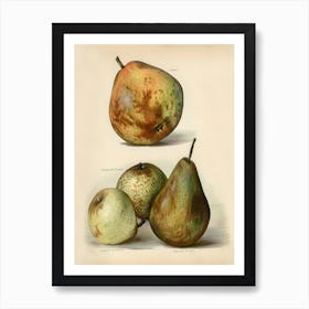 Vintage Illustration Of Fruit, John Wright Art Print