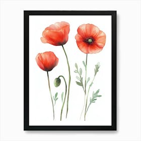 Watercolor Poppies Art Print