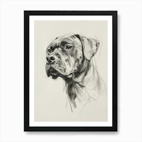 Bullmastiff Dog Charcoal Line 3 Art Print