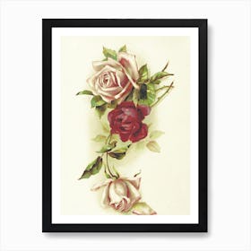 Roses On A Branch 1 Art Print