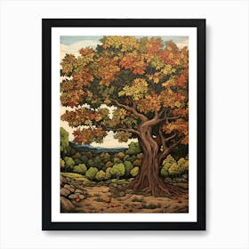 English Walnut Vintage Autumn Tree Print  Art Print