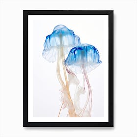 Portuguese Man Of War Jellyfish Watercolour 4 Art Print