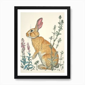 Flemish Giant Blockprint Rabbit Illustration 1 Art Print