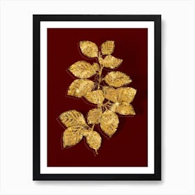 Vintage European Beech Botanical in Gold on Red n.0404 Art Print