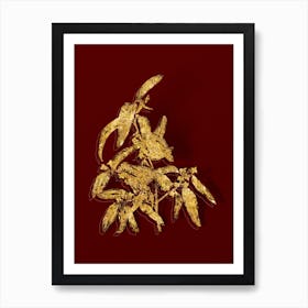 Vintage Russian Olive Botanical in Gold on Red Art Print