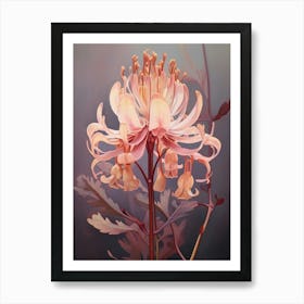 Floral Illustration Kangaroo Paw Flower Art Print