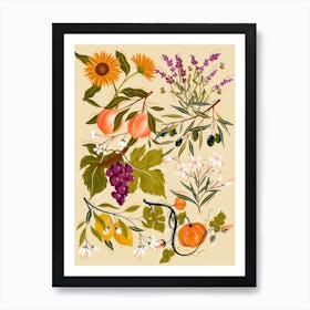 Mediterranean Botanical Pattern Art Print