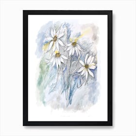 Daisies Art Print