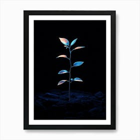 Plant In The Dark 8 Art Print