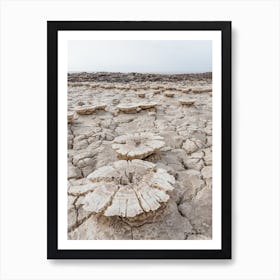 Salt Of The Desert Art Print