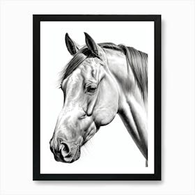 Highly Detailed Pencil Sketch Portrait of Horse with Soulful Eyes 11 Art Print