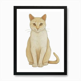 European Shorthair Cat Clipart Illustration 2 Art Print