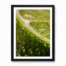 Water Droplets On Lime 5 Art Print