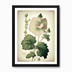 Marsh Mallow Wildflower Vintage Botanical 1 Art Print