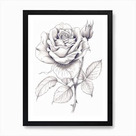 Roses Sketch 28 Art Print