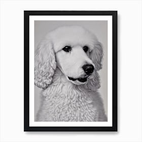 Poodle B&W Pencil Dog Art Print