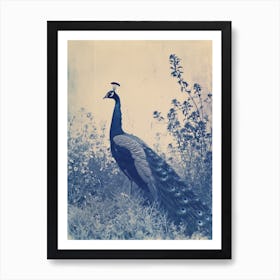 Vintage Photo Inspired Peacock In The Wild 2 Poster