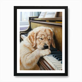 Golden Retriever Sleeping On Piano Art Print