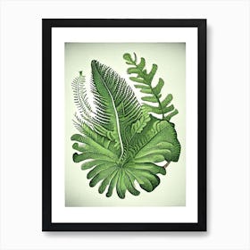 Rock Cap Fern 1 Vintage Botanical Poster Art Print