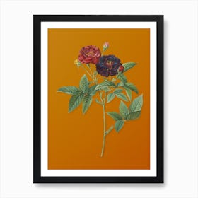 Vintage Van Eeden Rose Botanical on Sunset Orange n.0358 Art Print